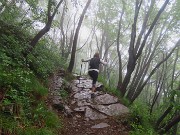 10 Il fascino della nebbia ...